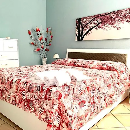 Amati Holidays-2
